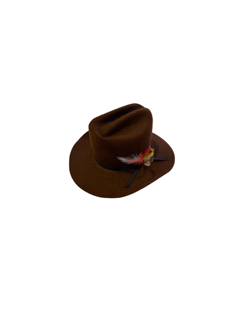 Vintage Brown Felt Hat With Feather Accent - Women’s Size Large